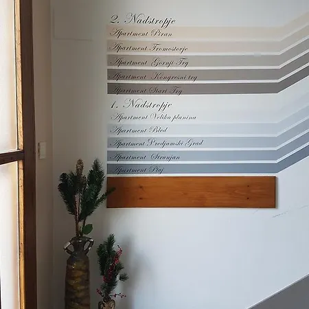 Alojamento de Acomodação e Pequeno-almoço Teslova 3*