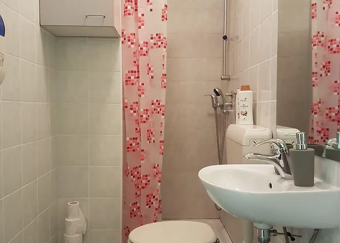 فندق مبيت وإفطار Teslova 3*