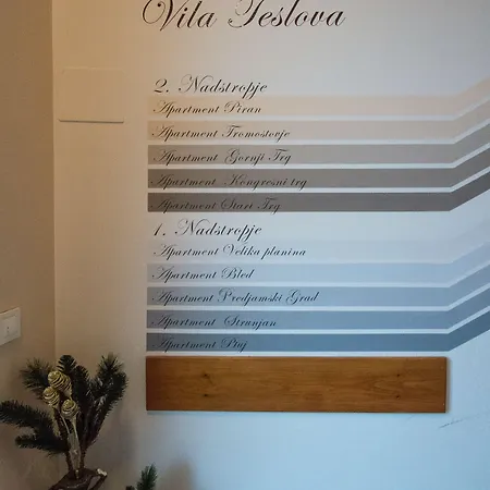 B&B 비앤비 테슬로바